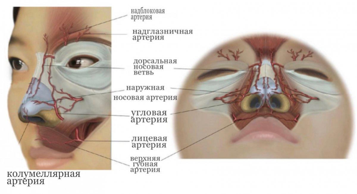 Безопасность риносептопластики: ключевые вопросы, которые стоит задать